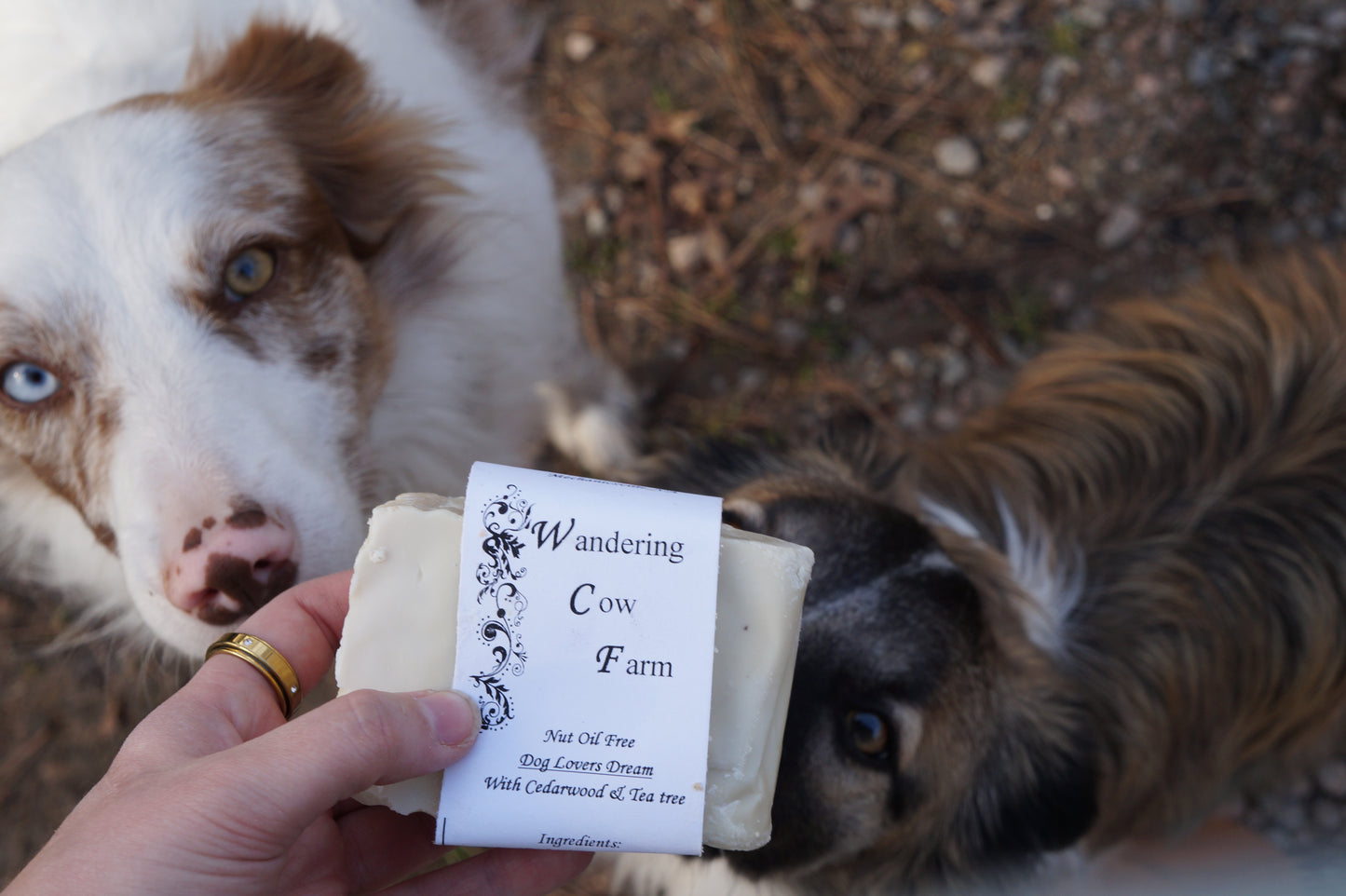 Dog Lover Nut Oil Free Soap