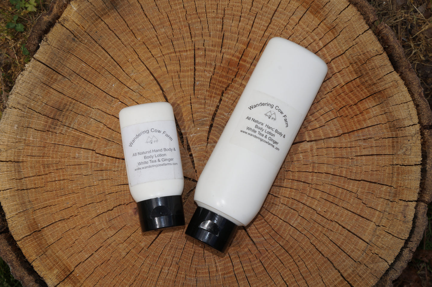 Small White Tea and Ginger Hand, Face, and Body Lotion 2.5 oz
