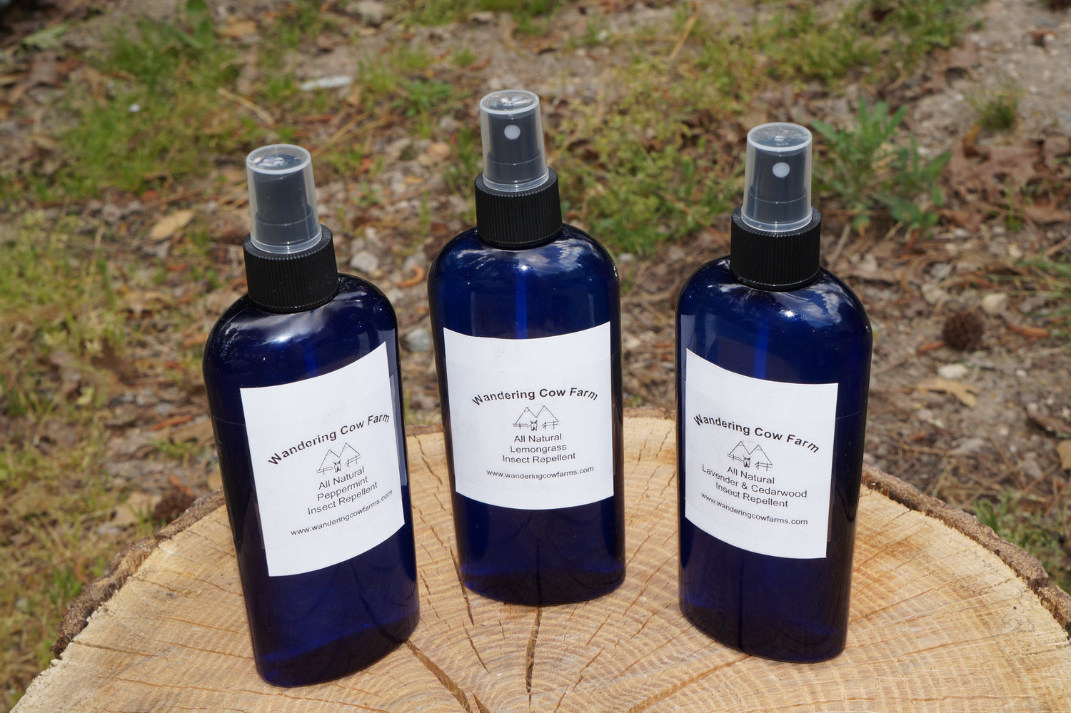 Outdoors Essentials: Insect Repellents, Camper and Ray Blocker Lotion.